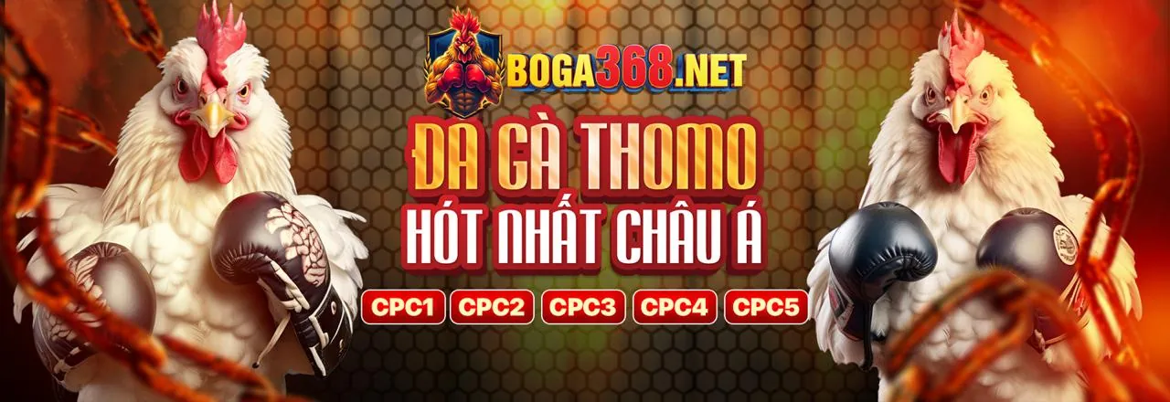 Tin tức bi88 Đá Gà mới nhất