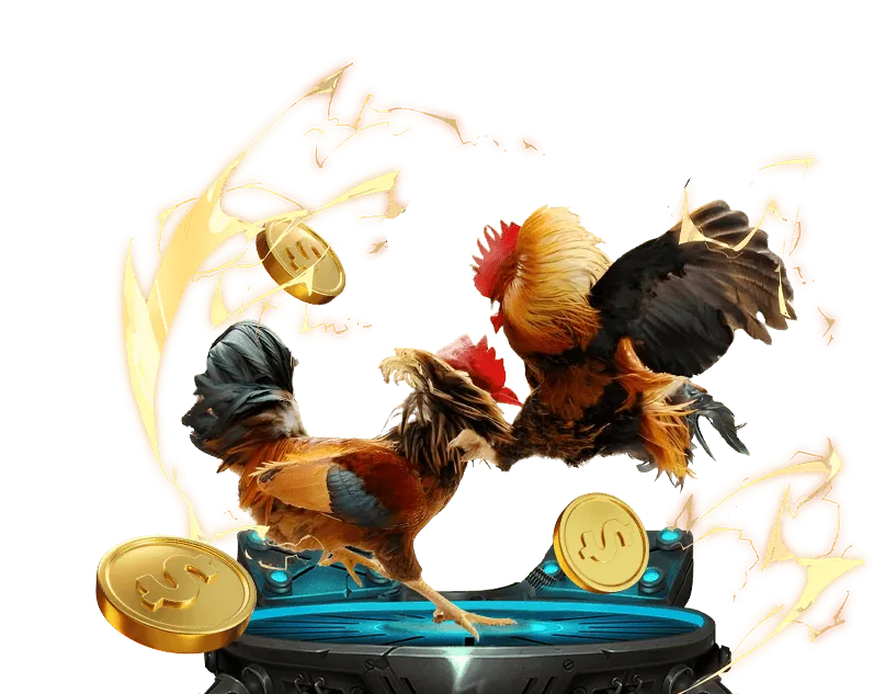 Chia sẻ kinh nghiệm và mẹo đá gà